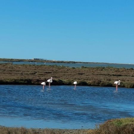דירות Casa Mar Roquetes מראה חיצוני תמונה